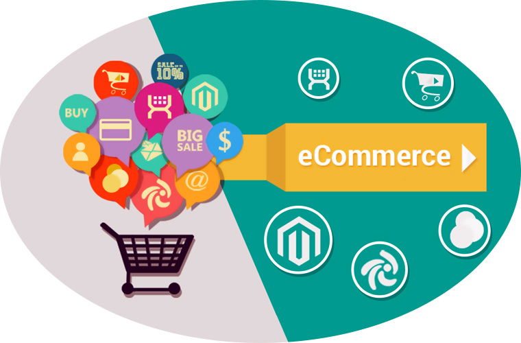 e commerce website development specialist shopping cart